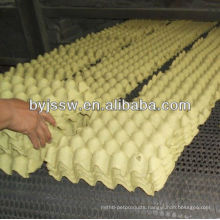 Cheap Egg Tray Price From Factory